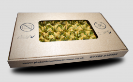 Pistachio_Flower_Baklava_03
