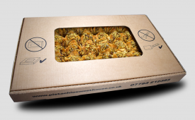 Walnut_Flower_Baklava_03
